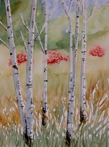 Birch Trees by Barb Ames