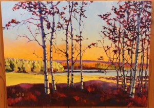 In the Shade by Gail Turner Sears