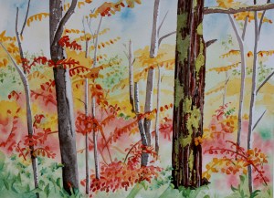 Red and Yellow Leaves by Barb Ames