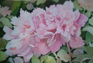 Roses by Gail Turner Sears