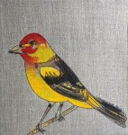 WESTERN TANANGER by Laura McGregor, SOLD