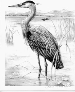 Heron by Katerina Mayenfels