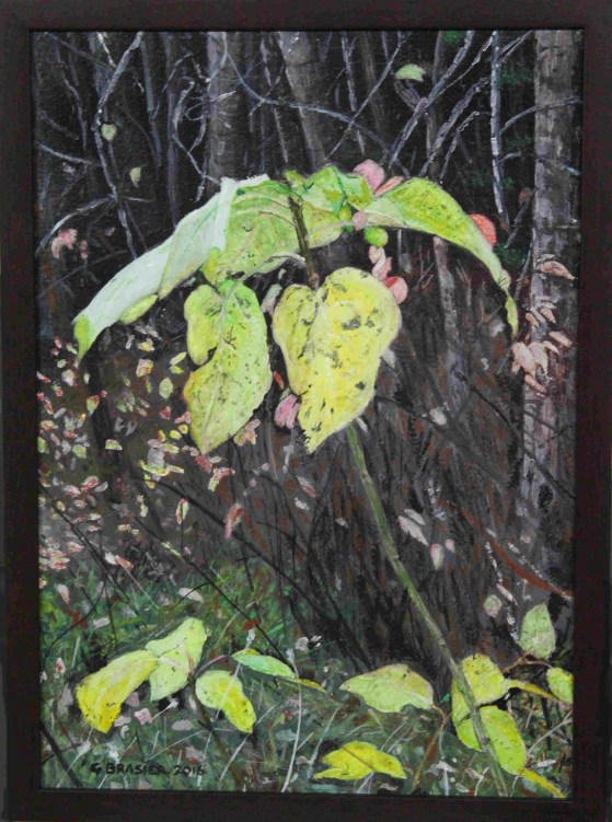 last leaves by geoff brasier